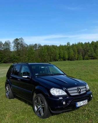 Mercedes-Benz ML cena 38500 przebieg: 242465, rok produkcji 2003 z Wolbrom małe 254